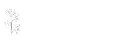 All Systems Go Bookkeeping